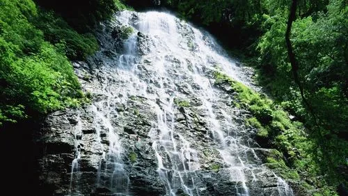 高效智能化